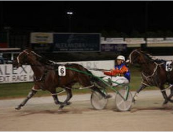 Punter proving a sure bet at stud!